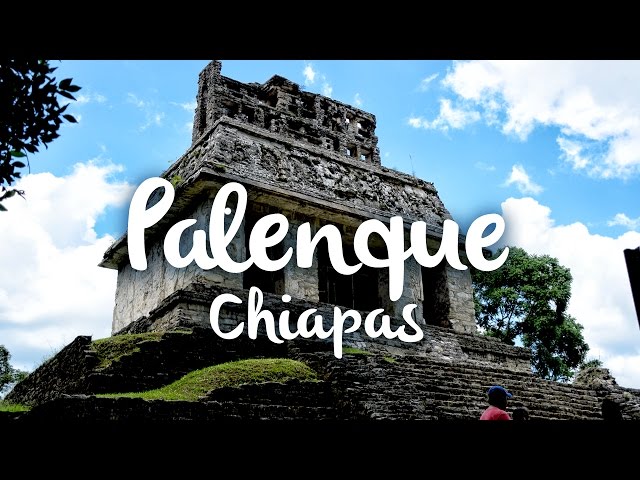 Turismo en Palenque
